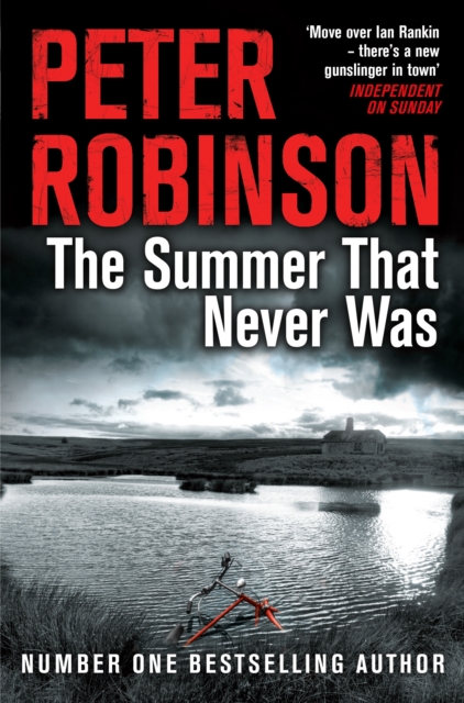 Summer That Never Was
