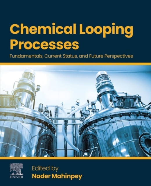 Chemical Looping Processes