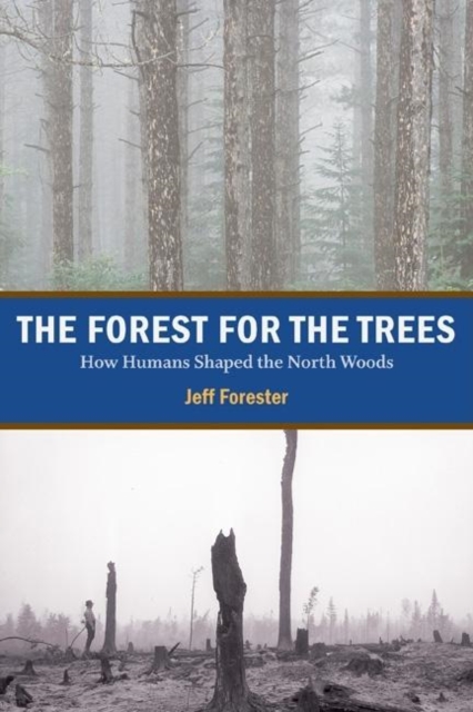 Forest for the Trees