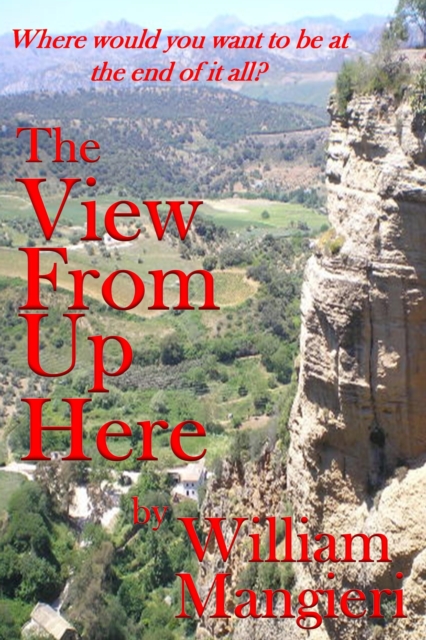 View from Up Here