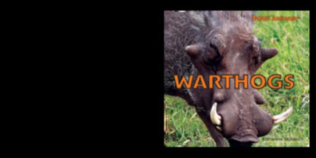 Warthogs