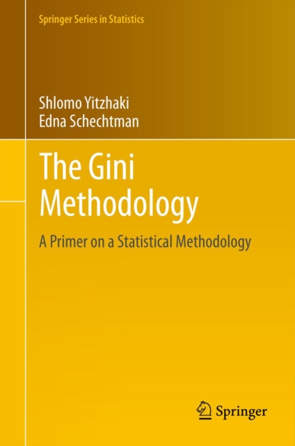 Gini Methodology
