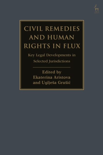 Civil Remedies and Human Rights in Flux