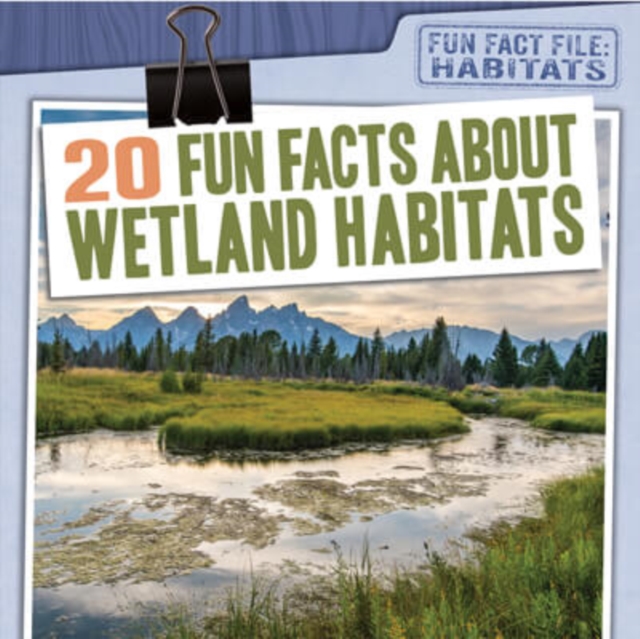 20 Fun Facts About Wetland Habitats