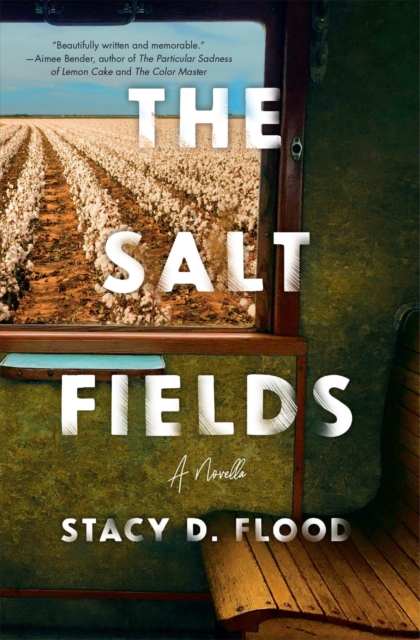 Salt Fields