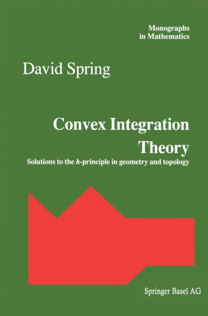 Convex Integration Theory