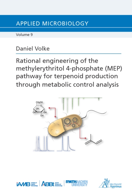 Rational engineering of the methylerythritol 4-phosphate (MEP)