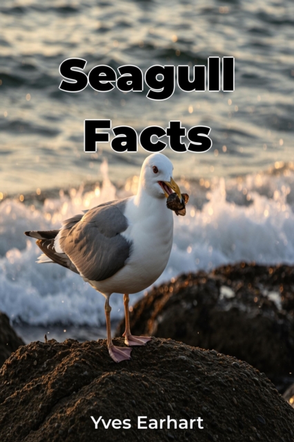 Seagull Facts