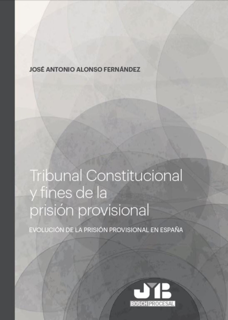 Tribunal Constitucional y fines de la prision provisional