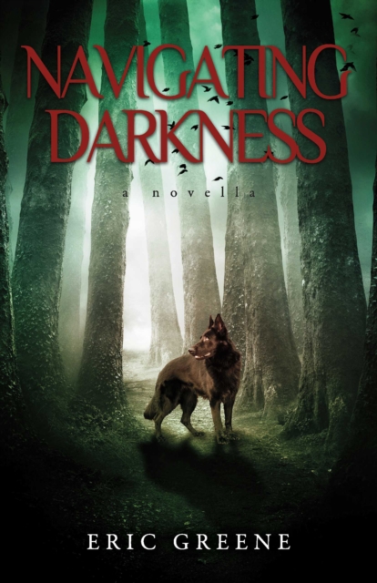 NAVIGATING DARKNESS
