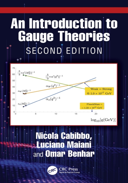 Introduction to Gauge Theories