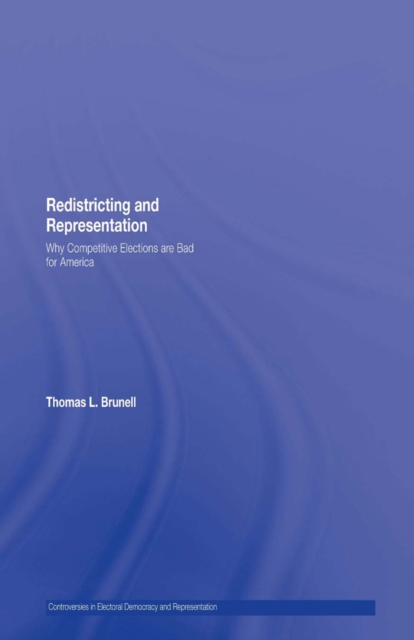 Redistricting and Representation