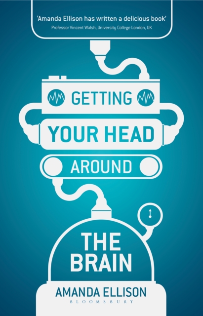 Getting your head around the brain