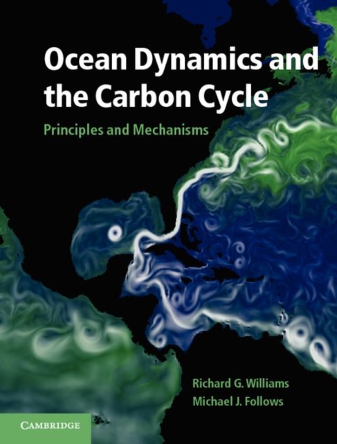 Ocean Dynamics and the Carbon Cycle