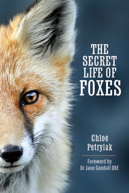 Secret Life of Foxes