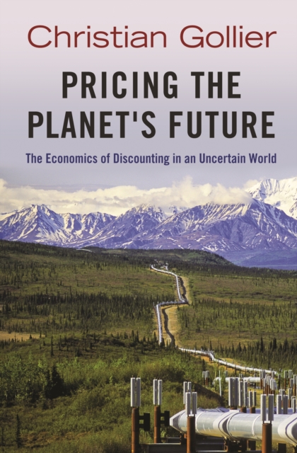 Pricing the Planet's Future
