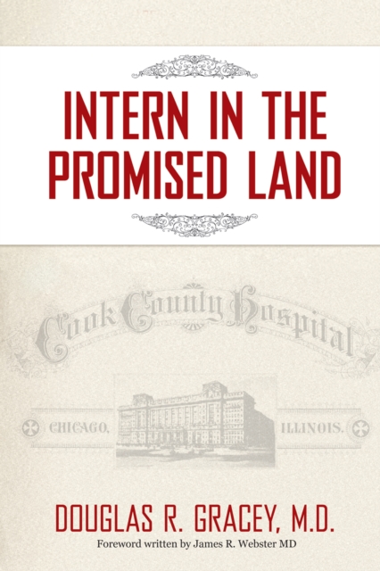 Intern in the Promised Land