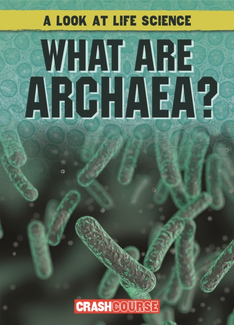 What Are Archaea?