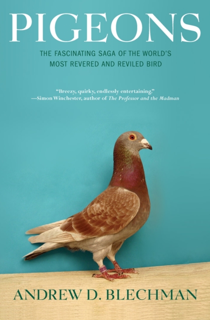 Pigeons