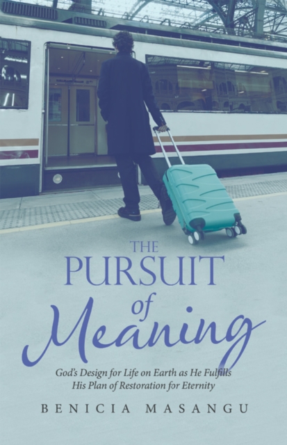 Pursuit of Meaning