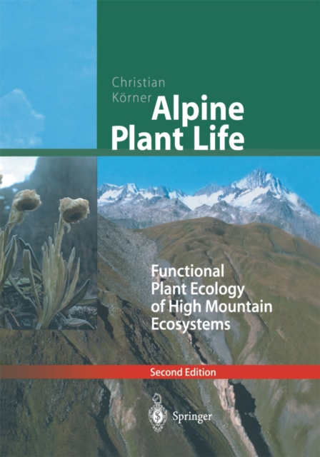 Alpine Plant Life