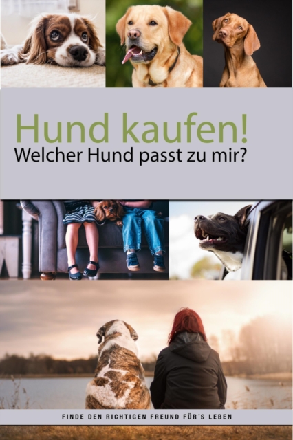 Hund kaufen aber welcher Hund passt zu mir?