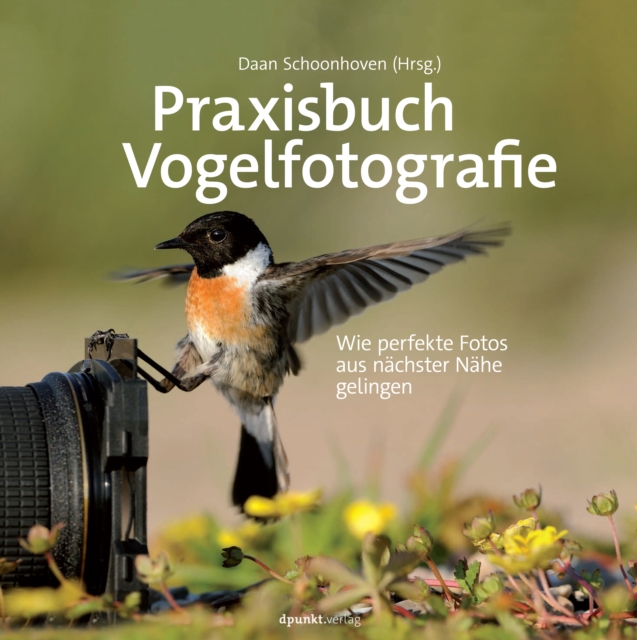 Basiswissen für Softwareprojektmanager im klassischen und agilen Umfeld