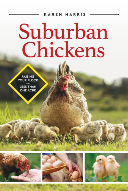 Suburban Chickens: Raising Your Flock on Less Than One Acre