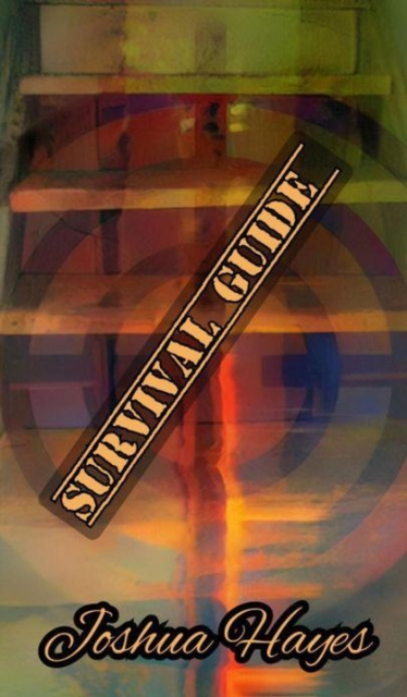 Targeted Individuals Schizophrenic Survival Guide Pt. 1