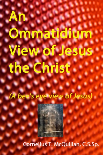 Ommatidium View of Jesus, the Christ (A bee's eye view of Jesus)