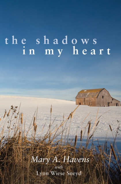 Shadows in My Heart