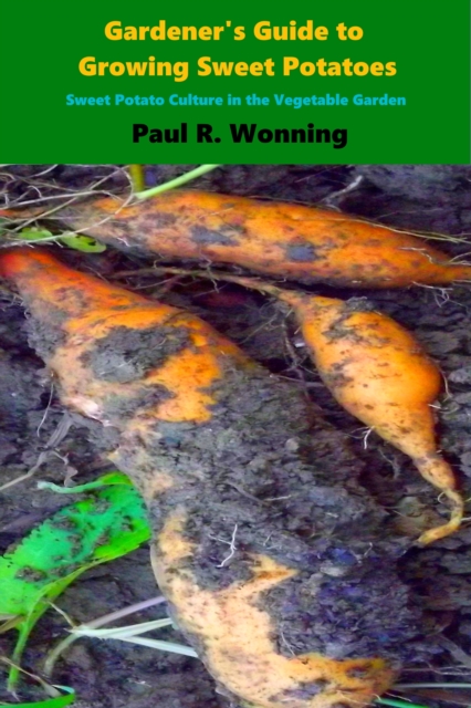 Gardener's Guide to Growing Sweet Potatoes