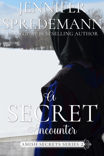 Secret Encounter (Amish Secrets - Book 2)