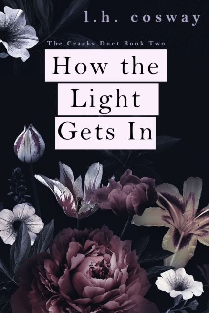 How the Light Gets In