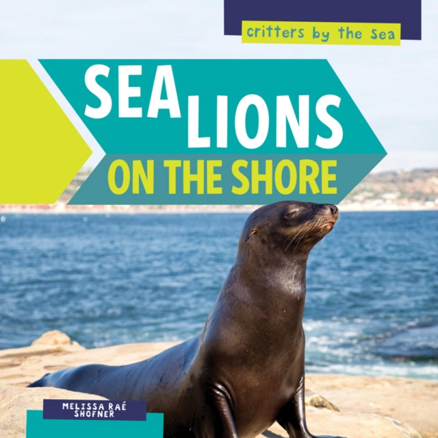 Sea Lions on the Shore