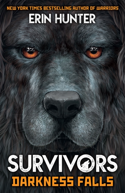 Survivors Book 3