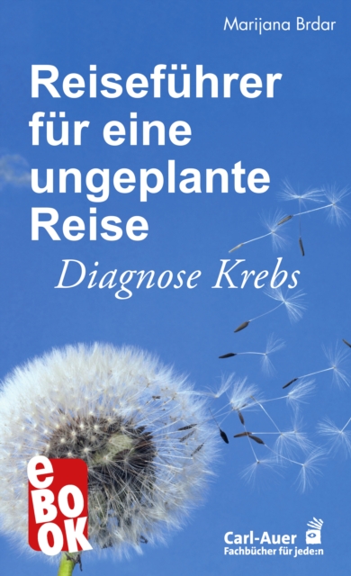 Reiseführer für eine ungeplante Reise