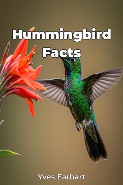 Hummingbird Facts