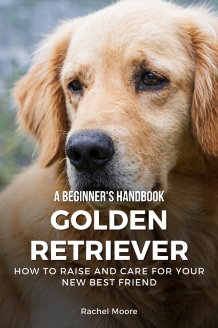 Golden Retriever Beginner's Handbook: A Comprehensive Guide to Raising and Caring for Your New Best Friend