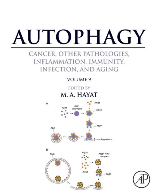 Autophagy: Cancer, Other Pathologies, Inflammation, Immunity, Infection, and Aging