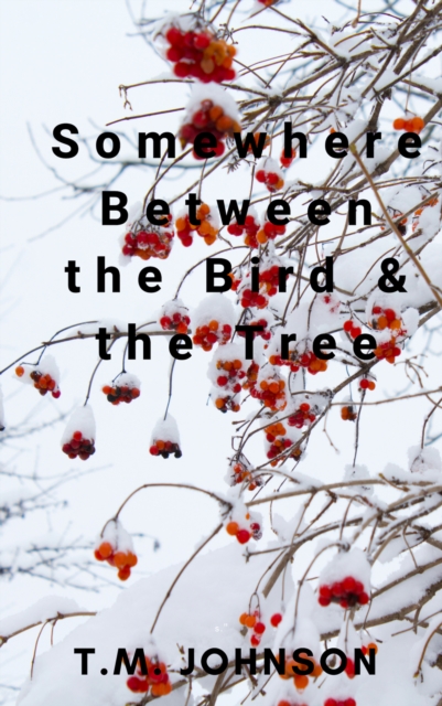 Somewhere Between the Bird & the Tree