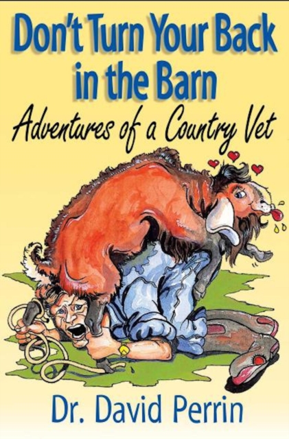 Don't Turn Your Back in the Barn - Adventures of a Country Vet