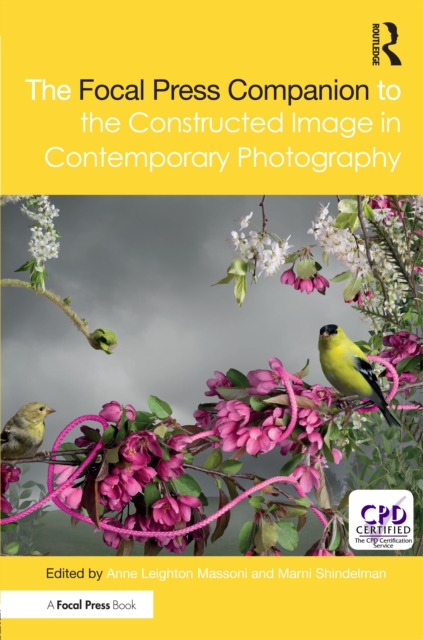 Focal Press Companion to the Constructed Image in Contemporary Photography