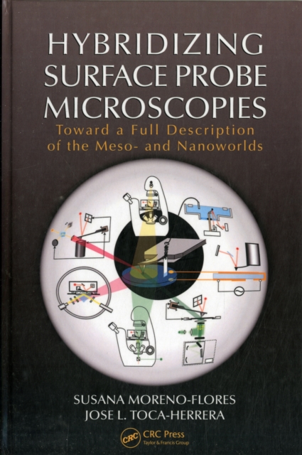 Hybridizing Surface Probe Microscopies