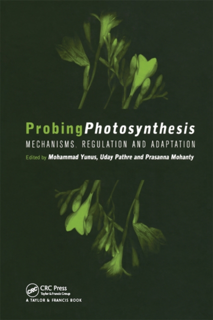 Probing Photosynthesis