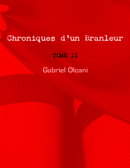Chroniques d'un branleur Tome II