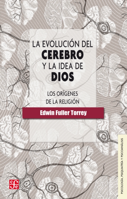 La evolucion del cerebro y la idea de dios