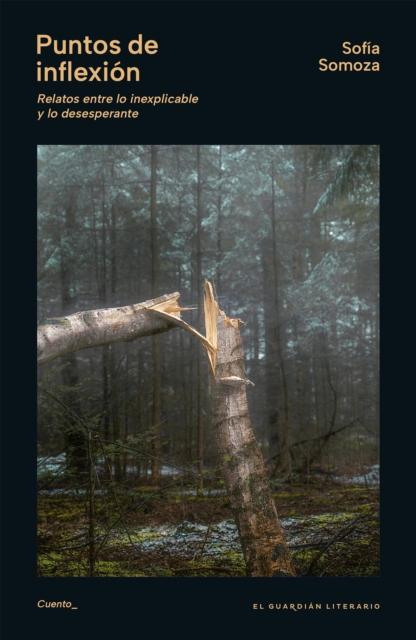 Puntos de inflexión