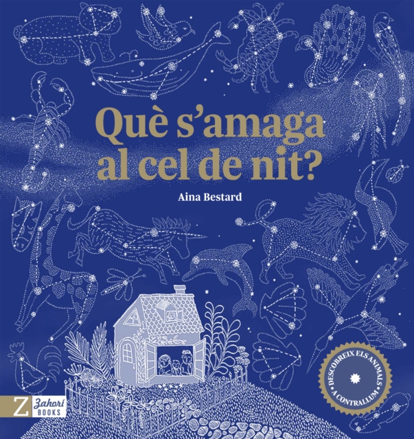 Què s'amaga al cel de nit?