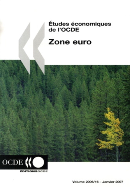 Etudes economiques de l'OCDE : Zone Euro 2006